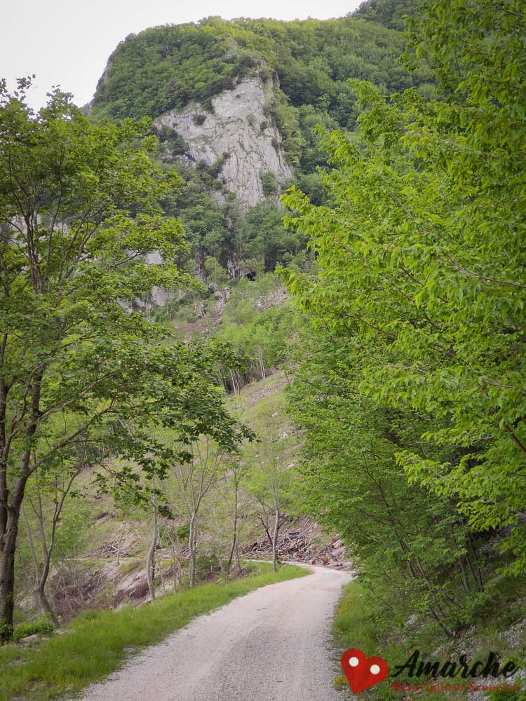 trekking sentiero monastero fonte avellana grotta san pier damiani