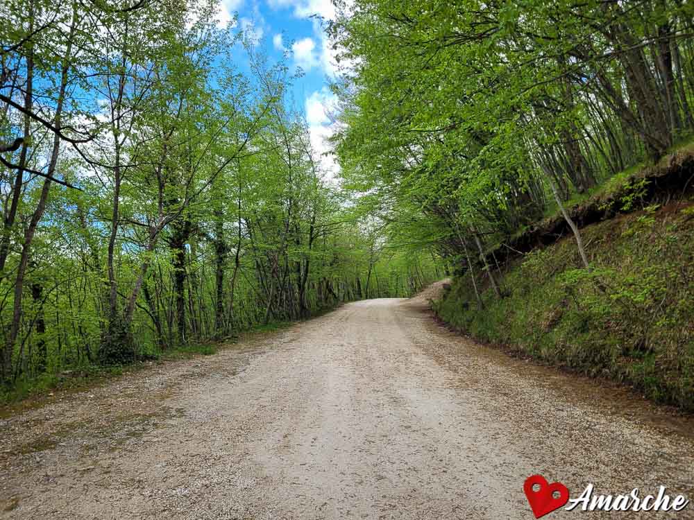 la comoda strada sterrata che conduce al Santuario