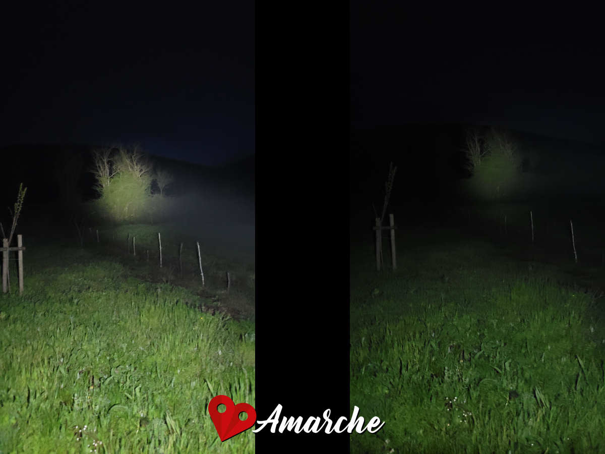 modalità spotlight, alberi a 40 metri ca. di distanza, zona completamente al buio - sinistra modalità high, destra medium